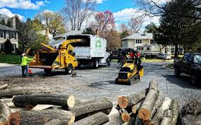 Best Seasonal Cleanup (Spring/Fall)  in Rutgers University Livingston Campus, NJ