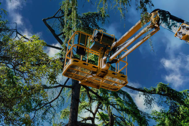 Best Tree and Shrub Care  in Rutgers University Livingston Campus, NJ