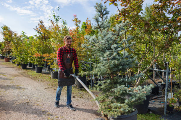 Best Lawn Watering Services  in Rutgers University Livingston Campus, NJ
